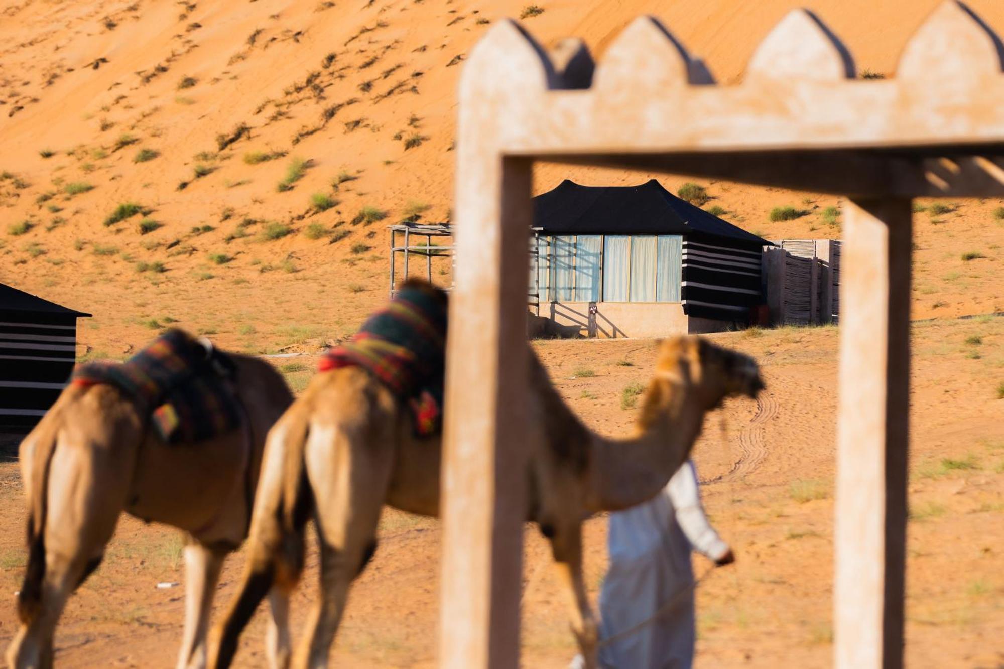 Thousand Nights Camp Shāhiq 객실 사진